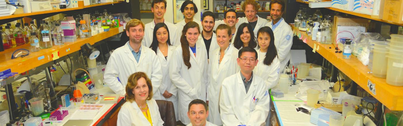Gudas Lab