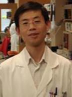 Xiao-Han Tang , PhD