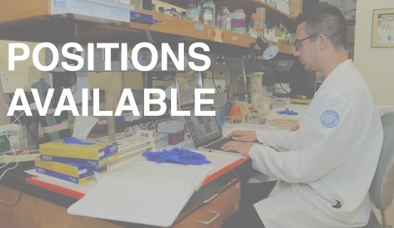 POSITIONS PHARMACOLOGY LORRAINE GUDAS